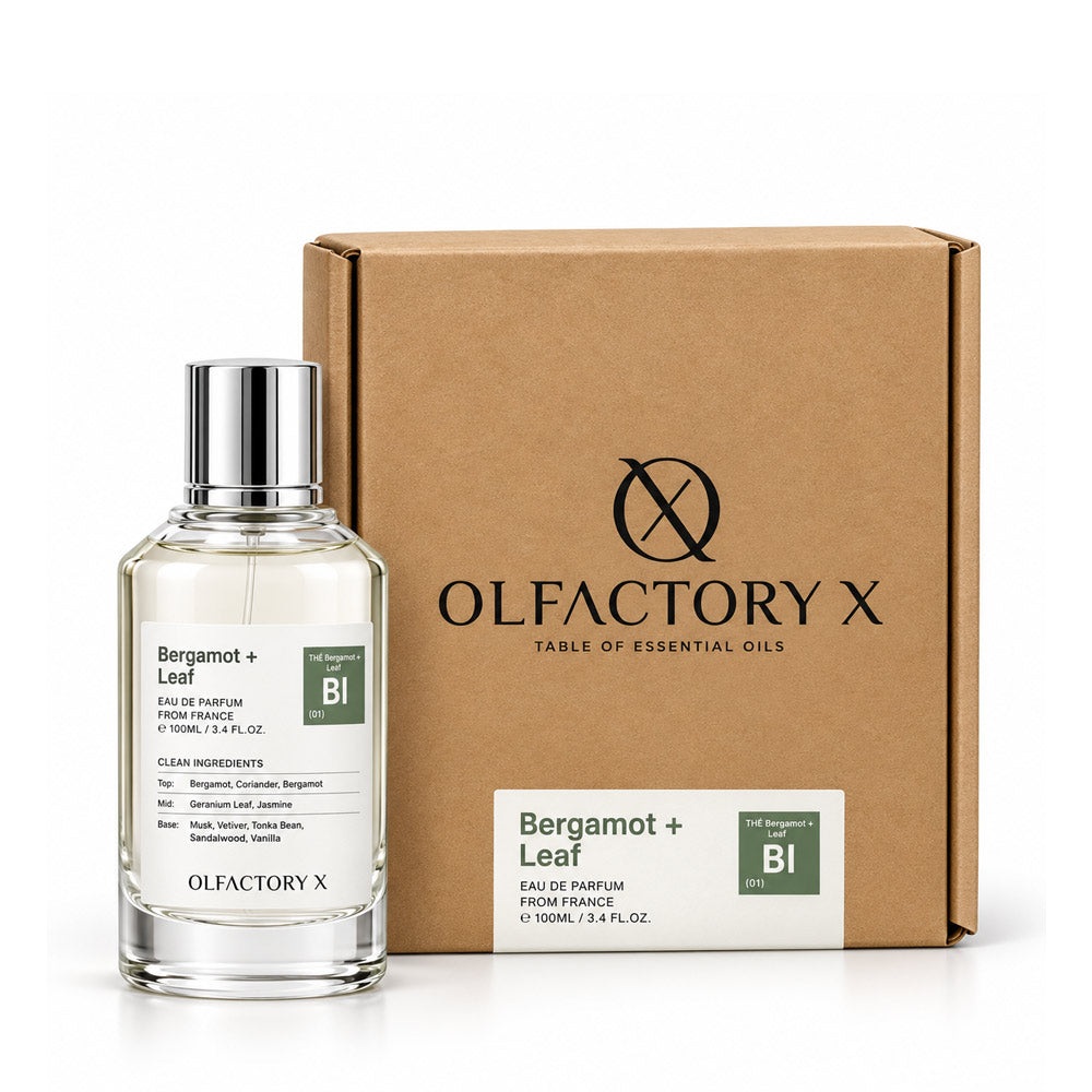 Olfactory X-Bergamot + Leaf 3.4 FL.OZ