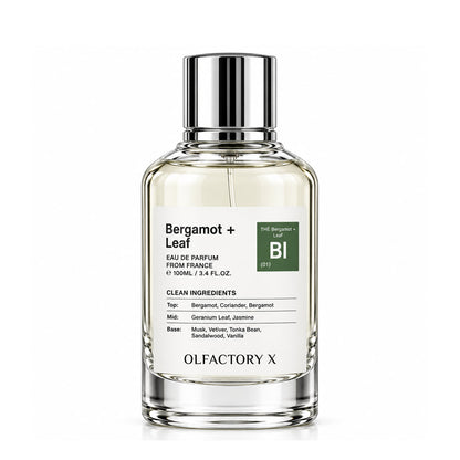 Olfactory X-Bergamot + Leaf 3.4 FL.OZ