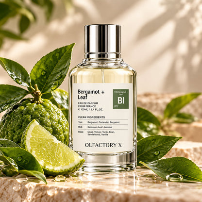 Olfactory X-Bergamot + Leaf 3.4 FL.OZ